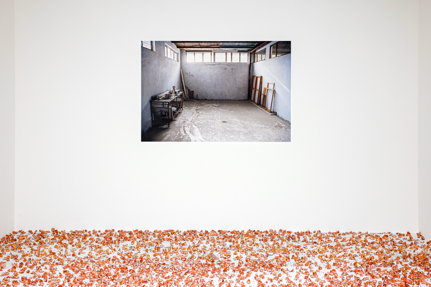 Hannoun, 1972-2009, Performance/installation, colour photograph, inkjet print on poster paper (100 x 150 cm), pencil shavings, dimensions variable