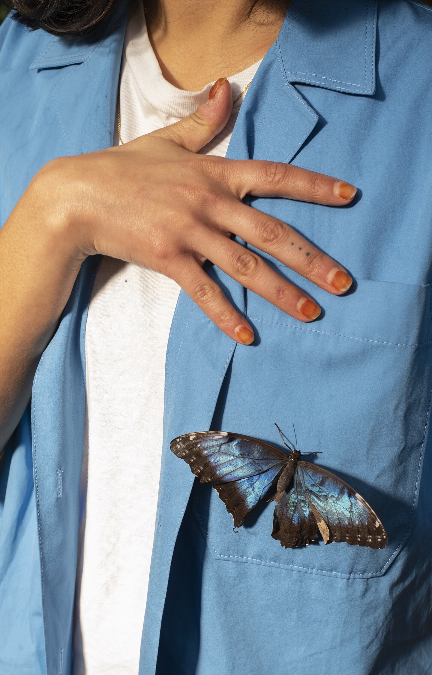 Butterfly, 2022, Archival inkjet print, 27,94 &times; 43,18 cm