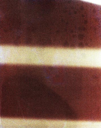 410/3032.jpg