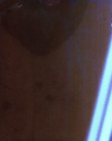 410/3026.jpg