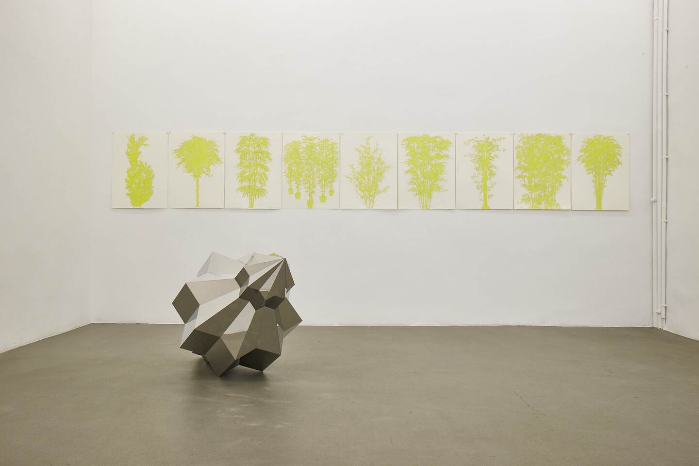 Ania Soliman, bamboos, exhibition view